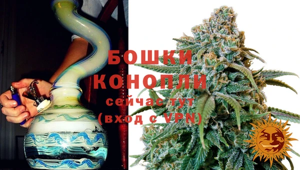 шишки Богородицк